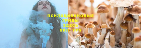 гидропоника Медвежьегорск