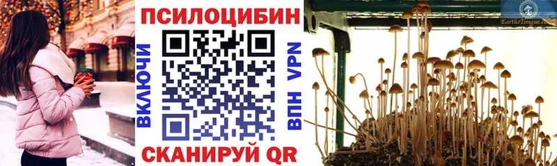 где продают   Шенкурск  Псилоцибиновые грибы ЛСД 